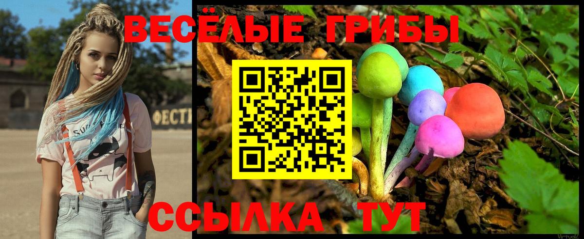 Псилоцибиновые грибы мицелий  Вход с VPN  купить закладку  Новый Уренгой 