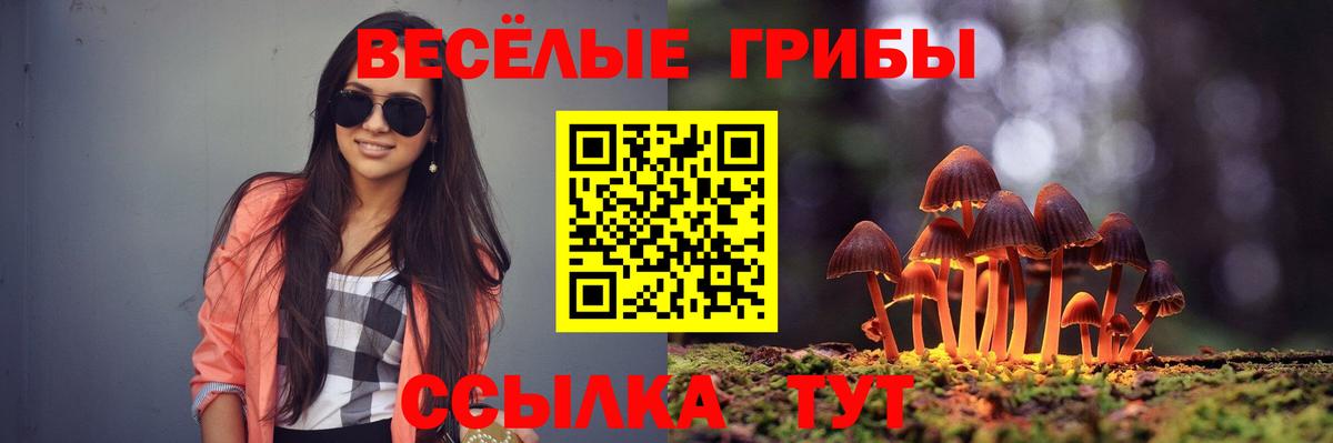 Галлюциногенные грибы мухоморы Новый Уренгой