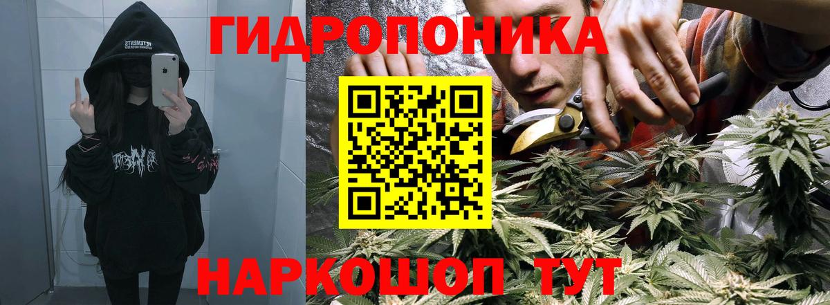 Марихуана план Новый Уренгой